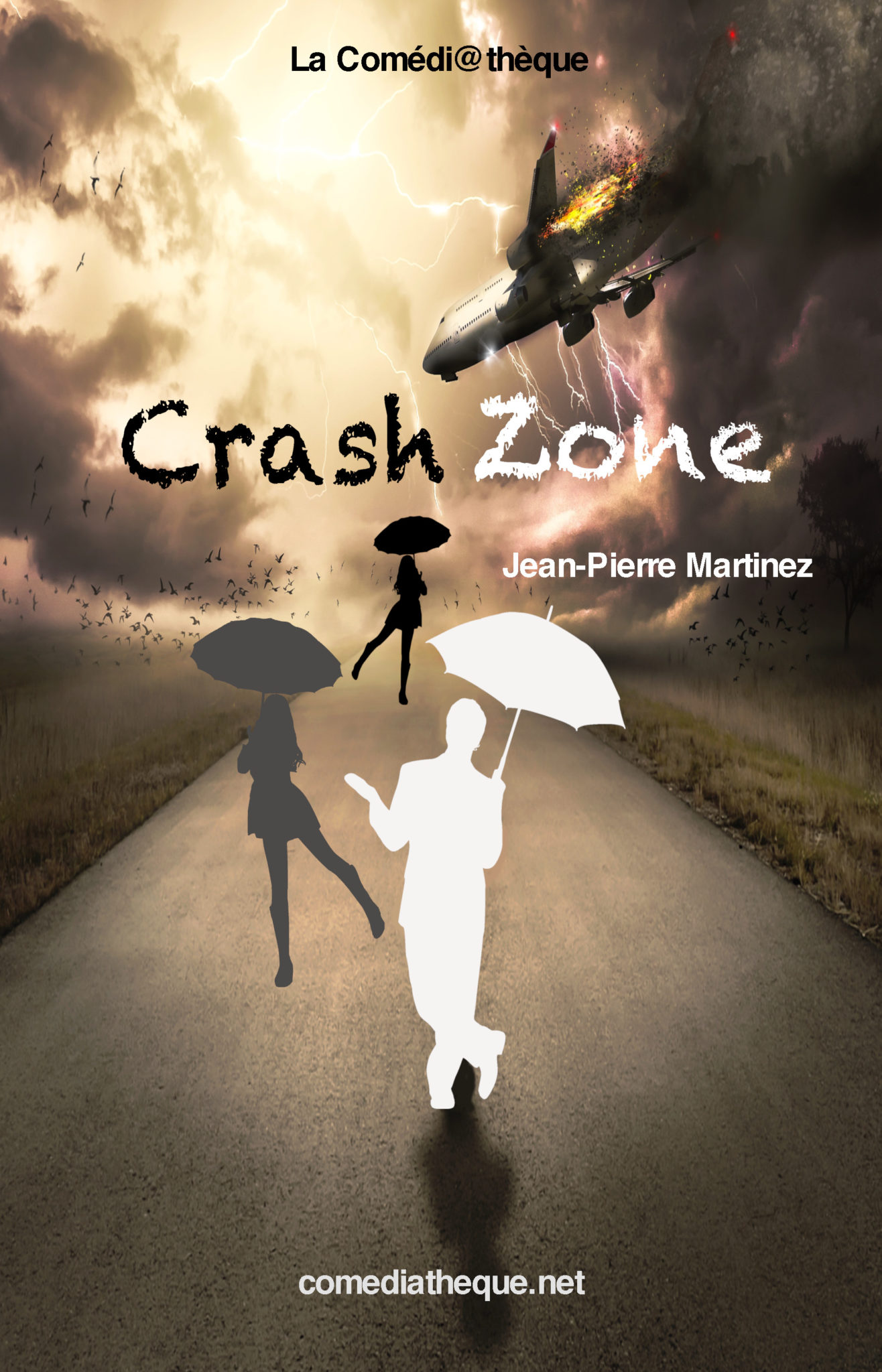 Crash zone